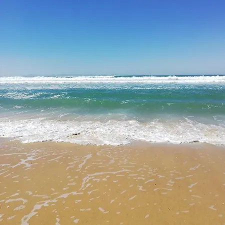T2 Biscarosse Apartment Biscarrosse-Plage