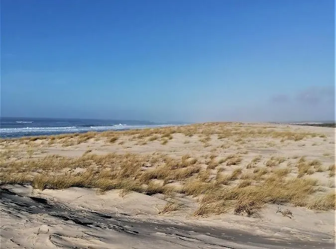 Apartmán T2 Biscarosse