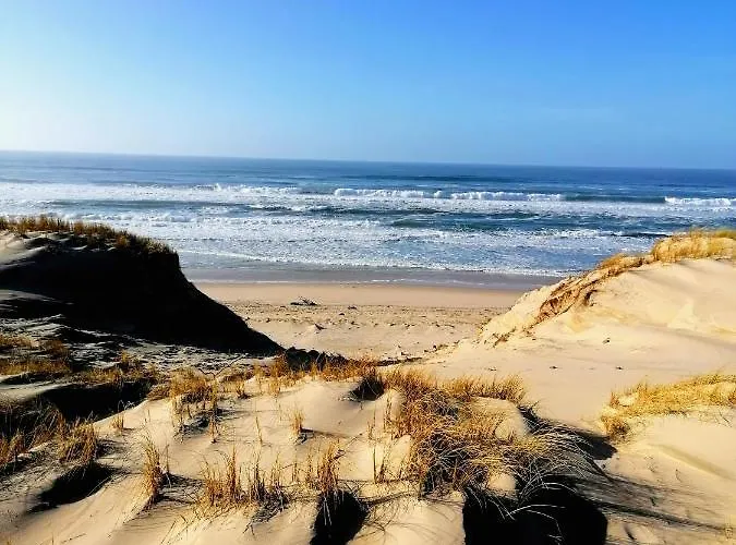 T2 Biscarosse Apartmán *